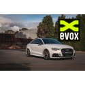 IPE Système d'Echappement Audi RS3 8V (2017+)