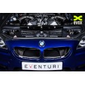EVENTURI Carbon Air Intake for BMW M6 F1X