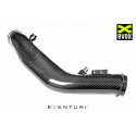 EVENTURI Carbon Air Intake for BMW M2 Competition F87