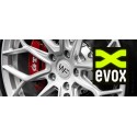 Pack de 4 Jantes WHEELFORCE SL.1-FF "Frozen Silver" Ø19'' pour Audi RS3 (8V)