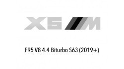 X5M (F95)