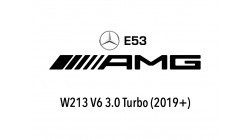 AMG E53 (W213)