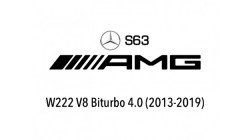 AMG S63 (W222)