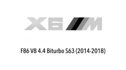 X6M (F86)